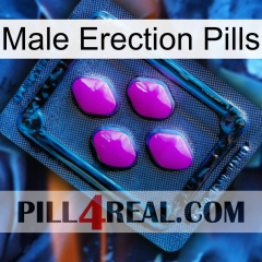 Male Erection Pills 04